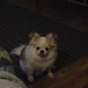 Meet your Posher, Beverlee